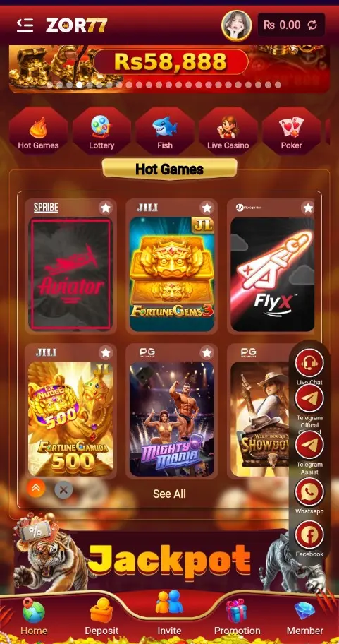 ZOR77 Game