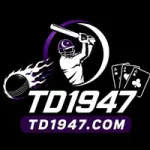 TD1947 Game