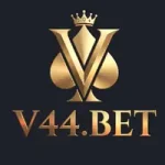 V44 Game