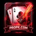 PROPK Game