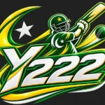Y222 Game