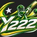 Y222 Game